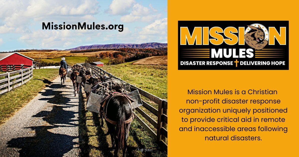 Image with photo of mules and Mission Mules logo