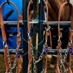 Three halters hung on fence