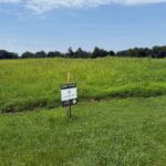 Photo of lush, green pasture land